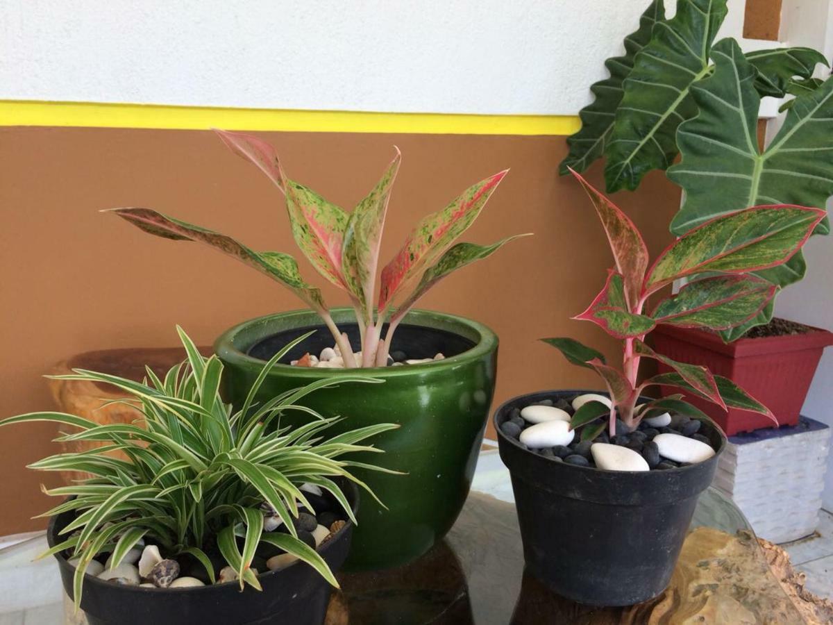 庞岸达兰阿伦旅馆酒店 外观 照片
